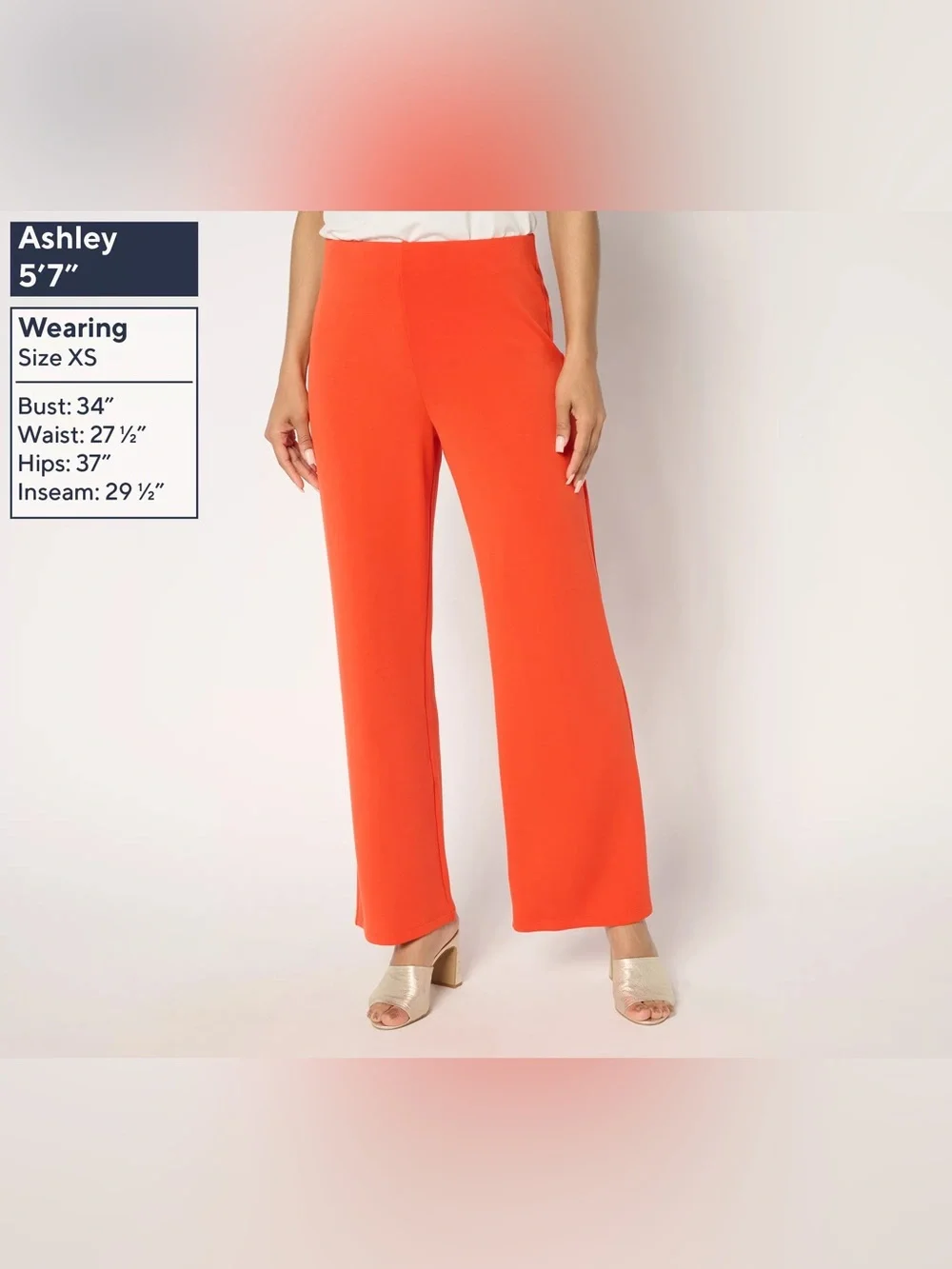 BEAUTIFUL by Lawrence Zarian Petite Pull-On Hollywood Waist Full Leg Pant